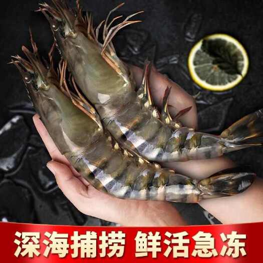 上海黑虎虾斑节虾九节虾