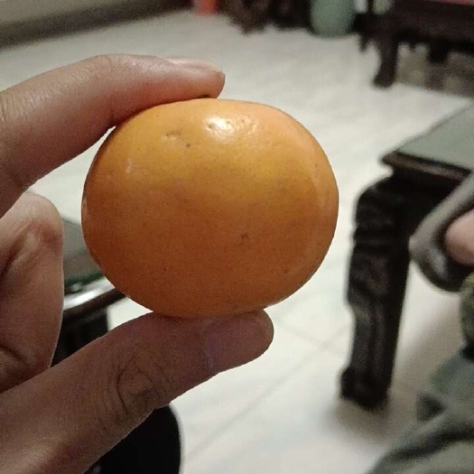 柑桔