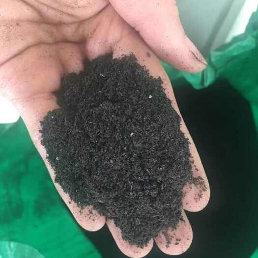 灵寿县高温粪池发酵羊粪 鸡粪牛粪 蚯蚓粪营养土肥料 种花 种菜果树