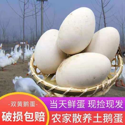 沂南县【包邮】双黄土鹅蛋12个  农家散养现捡现发特大土鹅蛋