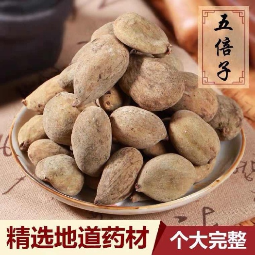 五倍子 五贝子 圆贝陕西 正品 质量保证 批发零售各种中药材