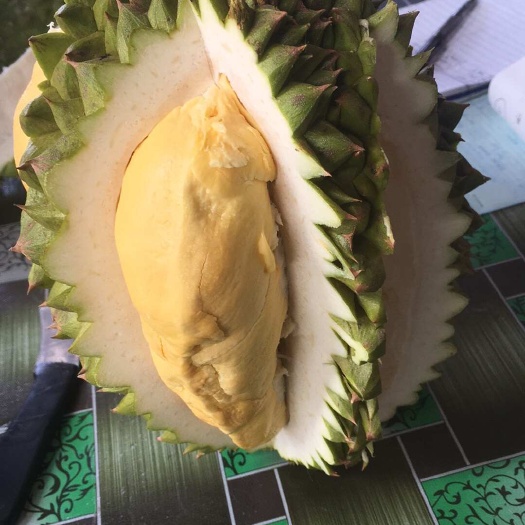彭州市【热带风味盛宴】菲律宾黄金榴莲季盛大开启！