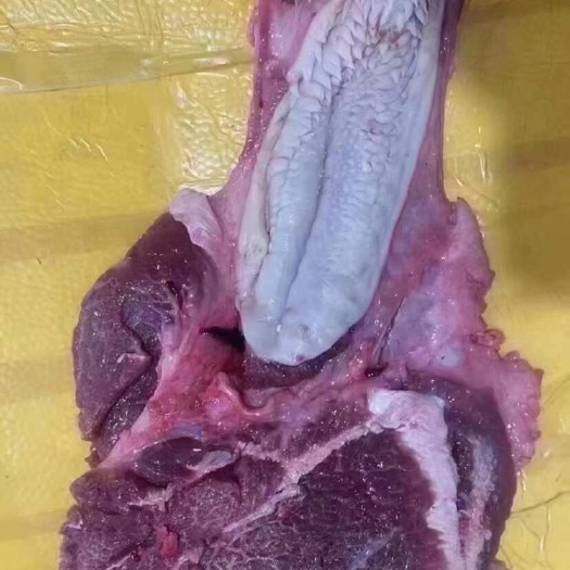 汕头牛嘴巴肉