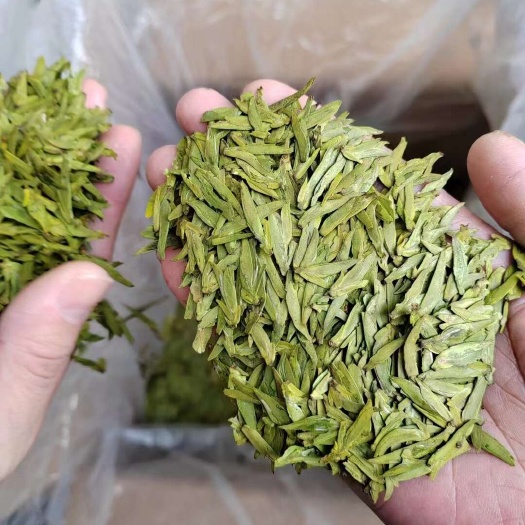 2025新茶绍兴本地明前土茶龙井茶