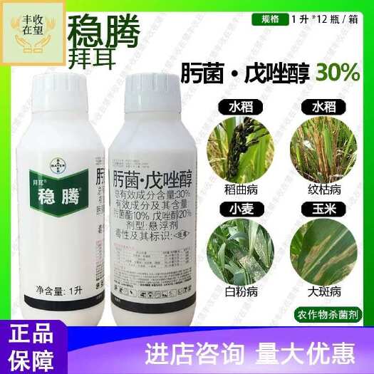 东莞市拜耳稳腾肟菌.戊唑醇小麦水稻玉米稻瘟病纹枯病大斑病农药杀菌剂