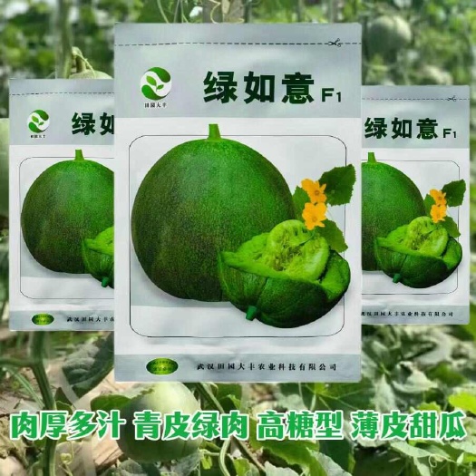 绿如意甜瓜种子青皮绿肉脆甜多汁采收期长高糖可达19度绿如意种
