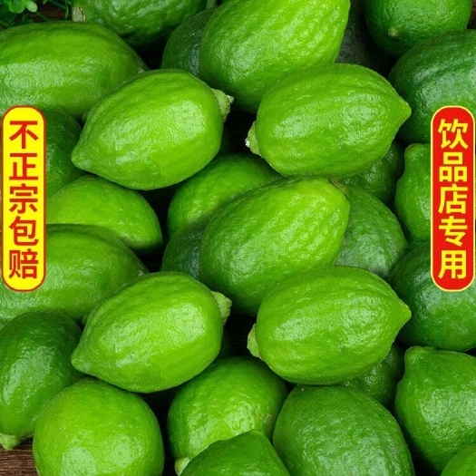 信宜市广东香水无籽柠檬爆香皮薄多汁现摘现发