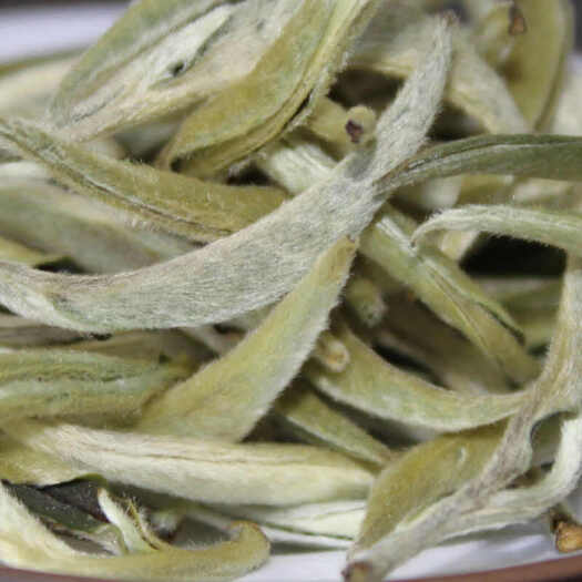 安溪县新茶月光白春茶单芽 白毫银针月光美人500g包邮
