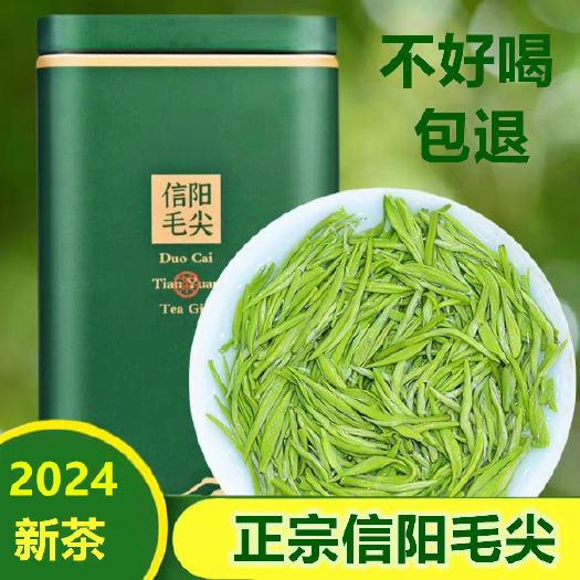 固始县信阳毛尖 2024 T级精选嫩芽