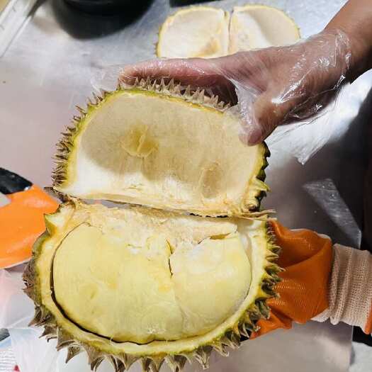 青岛液氮金枕