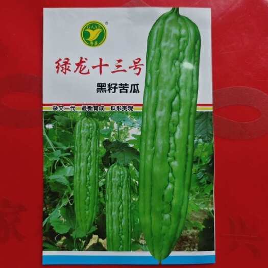 绿龙十三号黑籽苦瓜种子10克装广东省农科院杂交中早熟油绿苦瓜