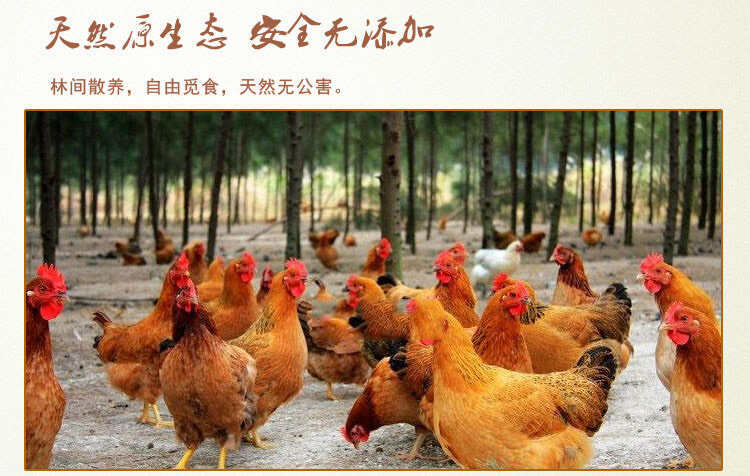 海南文昌鸡，口感鲜美，营养丰富，健康饮食的。