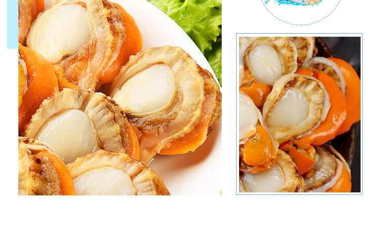 连云港扇贝肉带黄黄扇贝肉皇冠呗