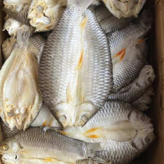 佛山军鱼干 地摊展会电商军鱼生晒鱼干 批发