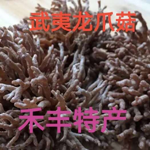 南平龙爪菇猫爪菇菌种包珍稀食用菌栽培技术蘑菇菌种包武夷山特产包邮