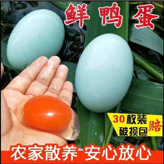 太湖县【包邮】现捡现发新鲜鸭蛋大个鸭蛋农家散养鸭蛋