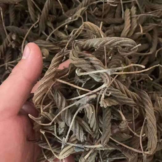 东兴市火索麻新货