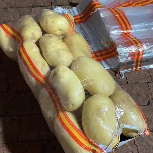 兴城市土豆原包个头大没毛病