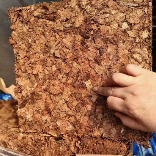 蓝莓基质低盐椰壳8-12mm脱盐易泡发仓库直发