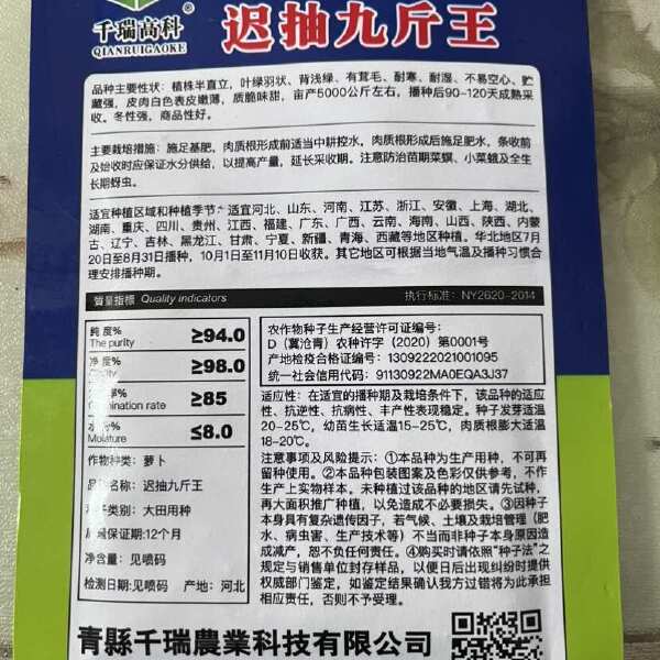 九斤王种子白萝卜种籽蔬菜种子不空心春不老种子特大四季秋季播种