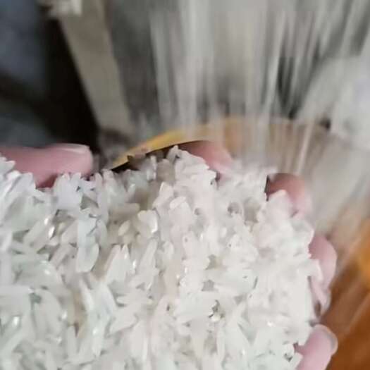  大米