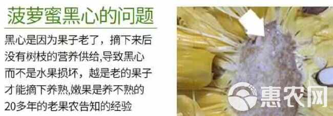 海南菠萝蜜批发各个平台一件代发！