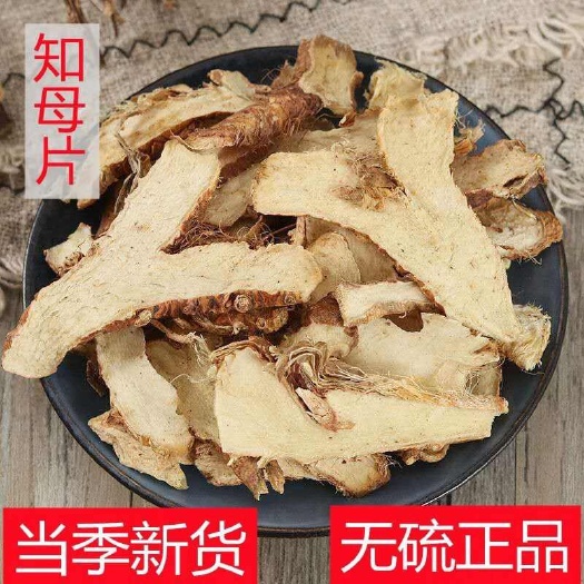 亳州新货知母 正品无硫 规格齐全 批发零售
