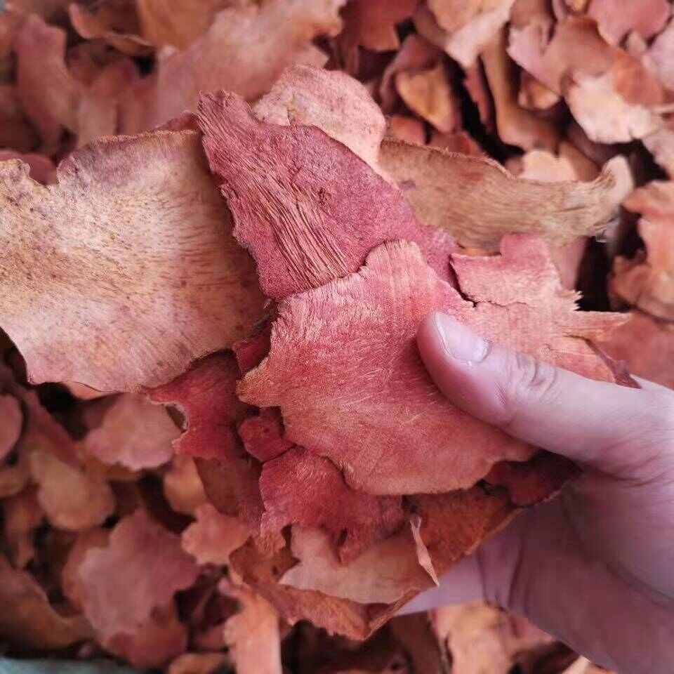 土茯苓 批发土茯苓 产地货源 优质土茯苓量大价优
