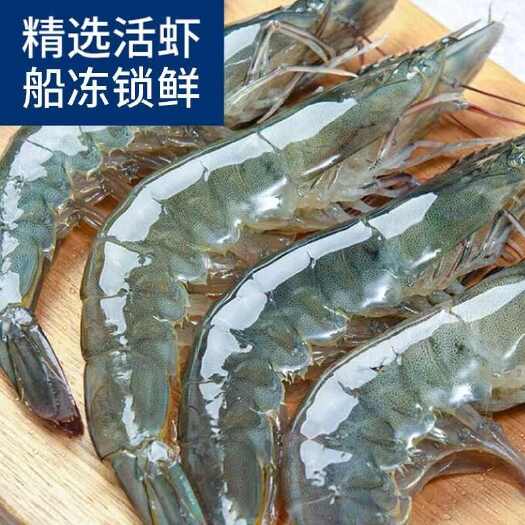 上海南美对虾