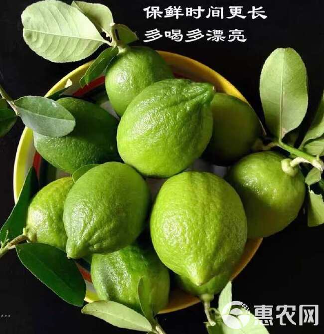 广东香水柠檬无籽一级果奶茶店冷饮店专用