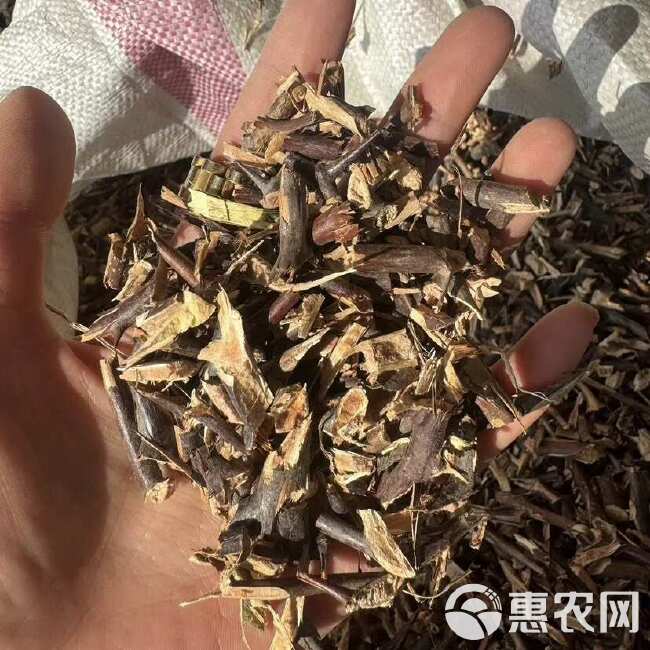 皂角刺 皂针 手工剪皂针 实拍 发货如图 现货秒发保庆药业