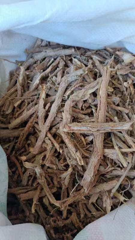 蒲城县地骨皮 自己挖的 纯