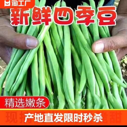 【应季】四季豆无筋豆角新鲜现摘蔬菜豆角批发整箱