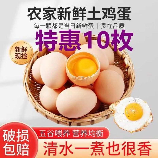 濮阳10个散养土鸡蛋现捡新鲜草鸡蛋柴鸡蛋笨鸡蛋虫草蛋整箱批发