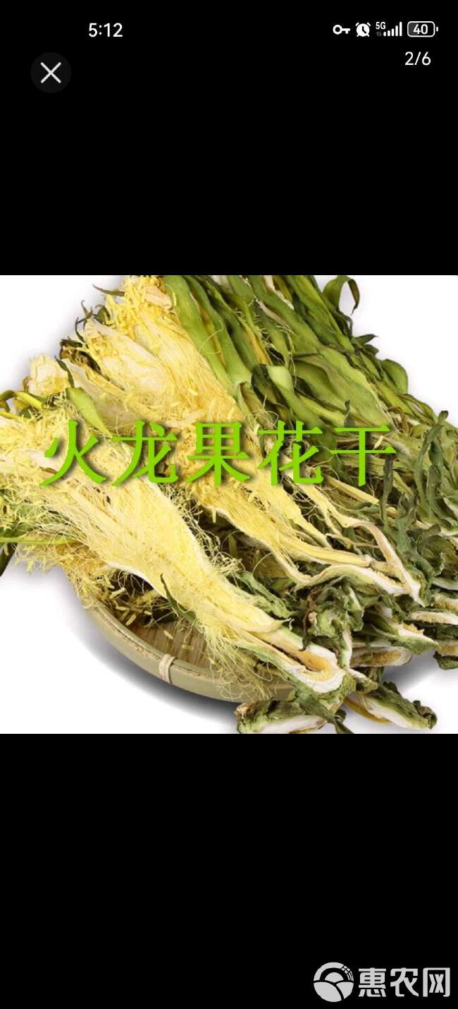 火龙果花