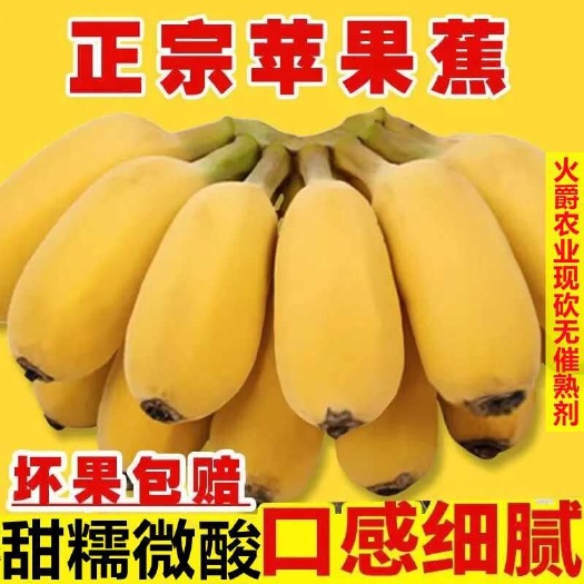 吴川市新鲜苹果蕉粉香蕉新鲜当季水果米蕉