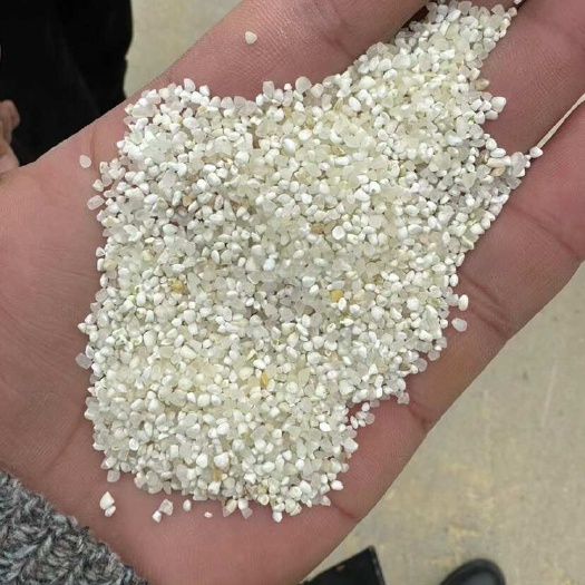 巢湖毛碎 给钱就卖