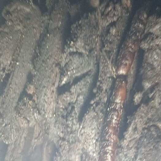 秀山重庆粮食猪腊肉，品质至上，传统手工，烟熏，懂行的来