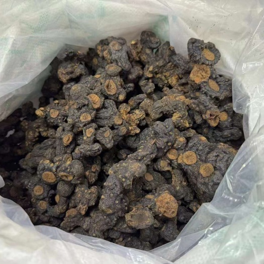 和平县九制黄精 多花型黄精 鸡头黄精 足干 九蒸九晒黄精