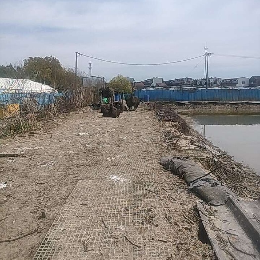宁波驼鸟