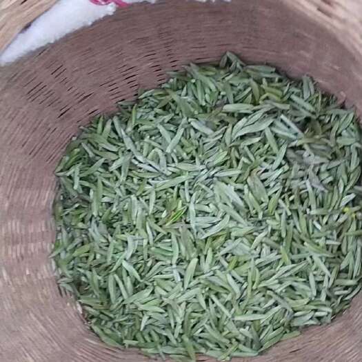 柘荣县高山云雾白茶
