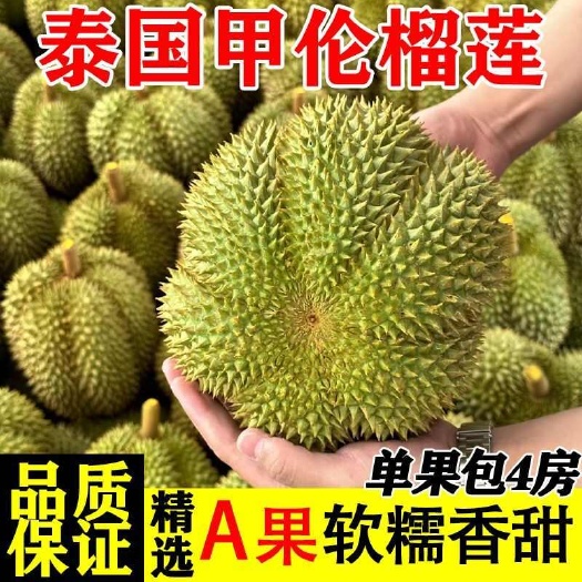 泰国甲仑榴莲新鲜水果带壳榴莲2-6斤(48小时发货)生切