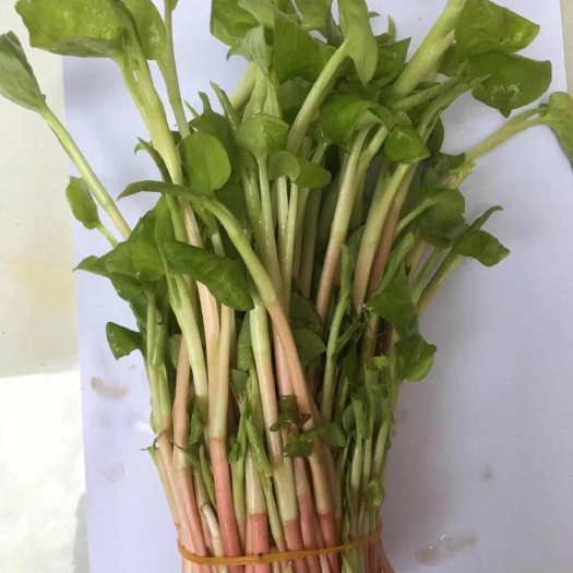 沙洋县鱼腥草嫩叶，侧耳根，产地直发，一次合作永远的朋友。