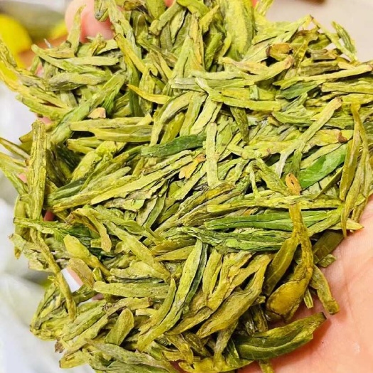 新昌县2024春新茶，明前大佛龙井茶，乌牛早茶自产自销