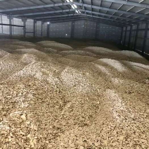 东兴市木薯