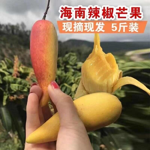 海南辣椒芒果京东顺丰一件代发