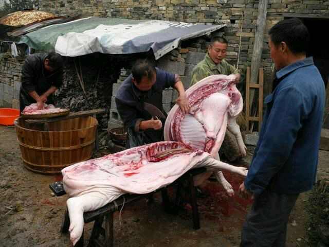  土猪肉