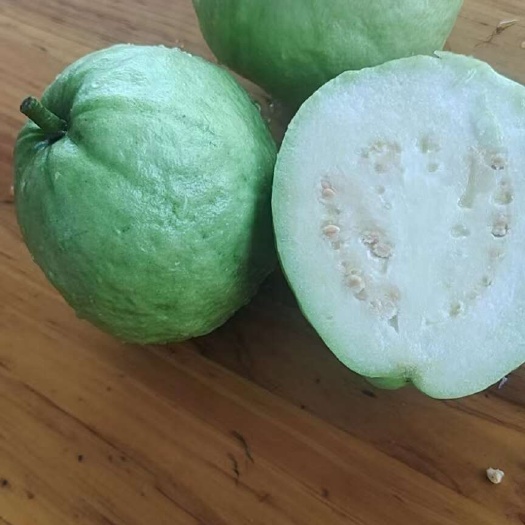 廉江市芭乐番石榴，白心芭乐，珍珠芭乐，大量供应，质量保证