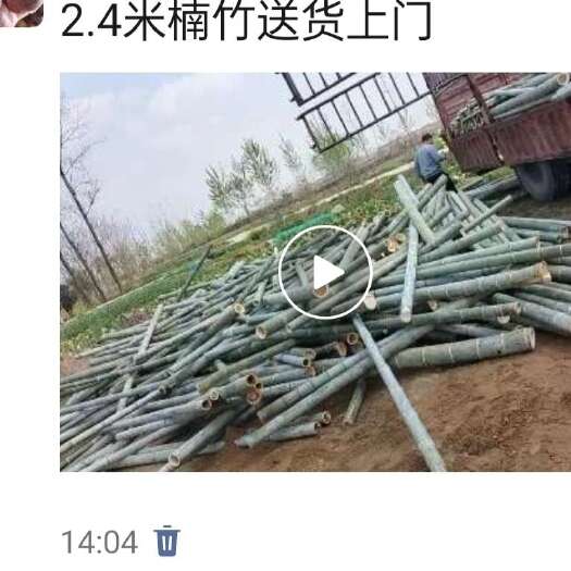 麻城市楠竹
