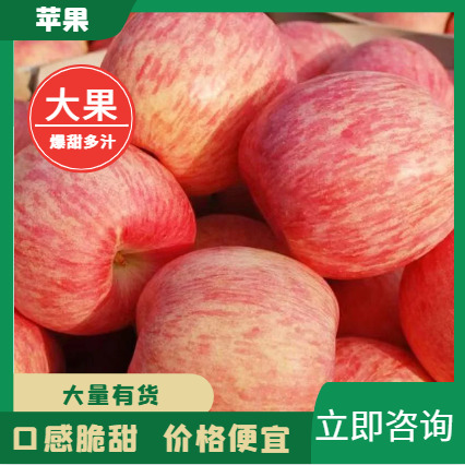 蒙阴县［推荐］山东苹果 红富士苹果 口感脆甜 品质保障 产地供应